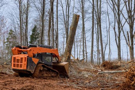 skid steer destroys bush|skid steer clearing brush.